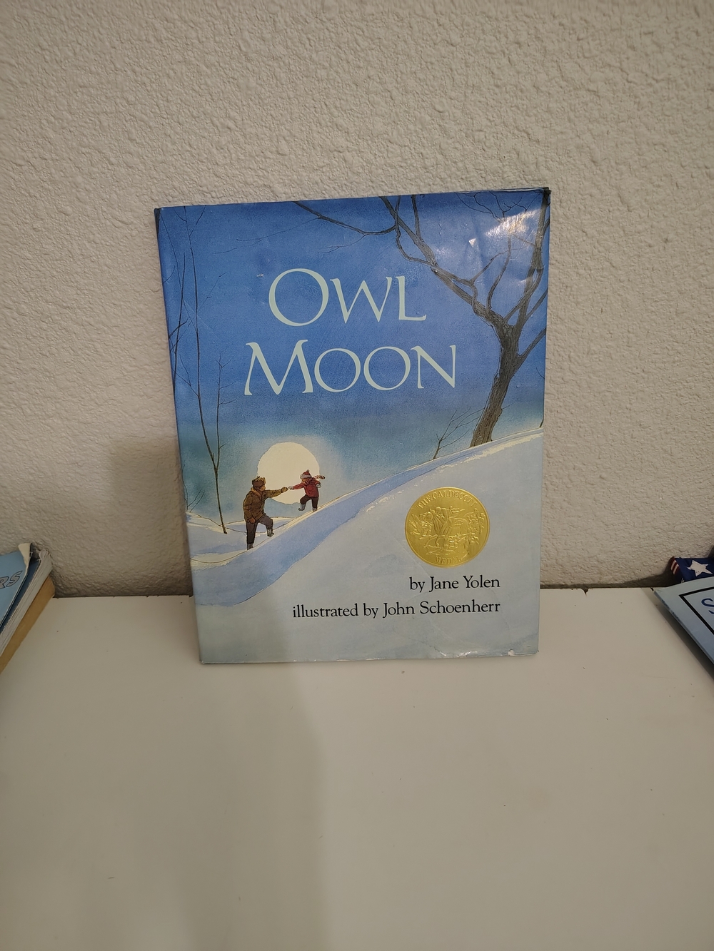 Owl Moon by Jane Yolen Illustrated by John Schoenherr Children's Book Hardcover